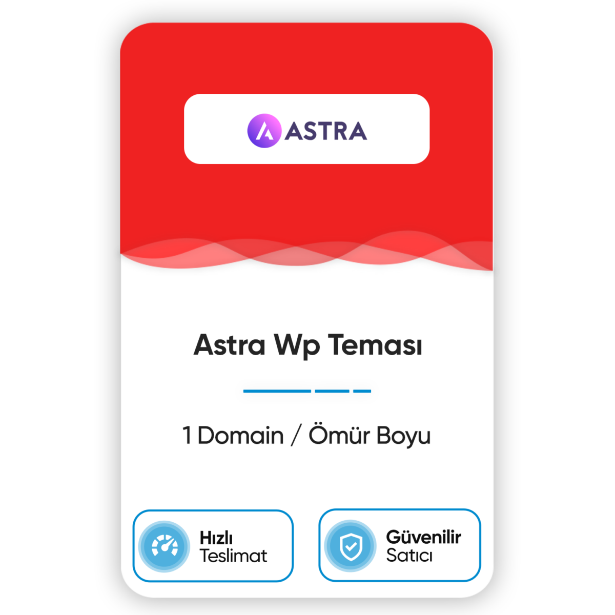 Astra Wp Teması - Görsel 1