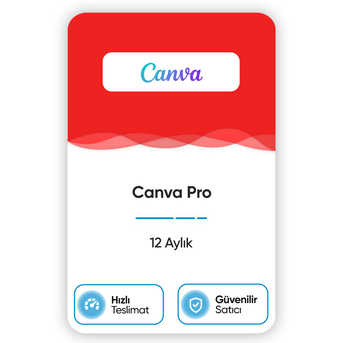 Canva Pro – 12 Aylık - Görsel 1