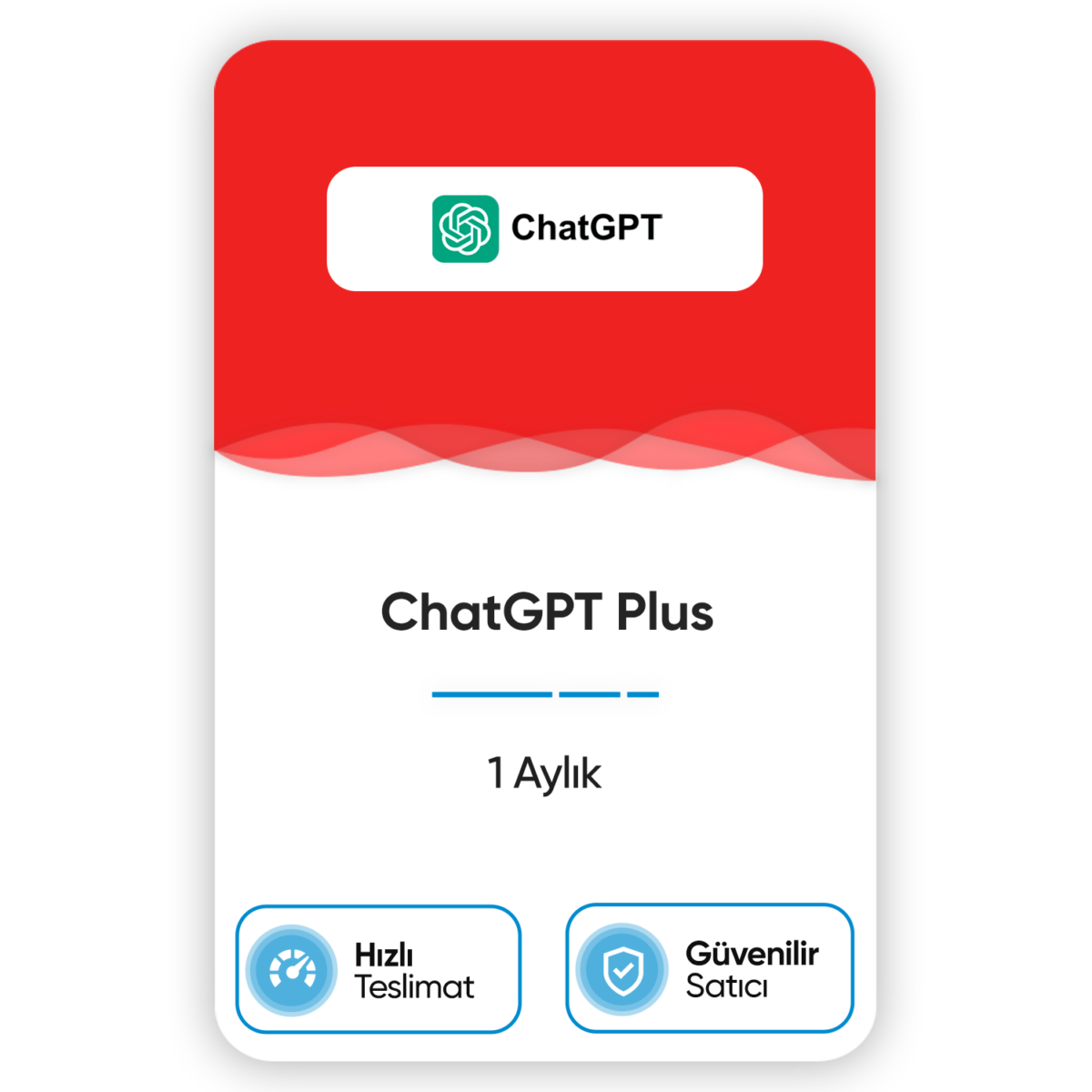 ChatGPT Plus Premium Hesap - Görsel 1