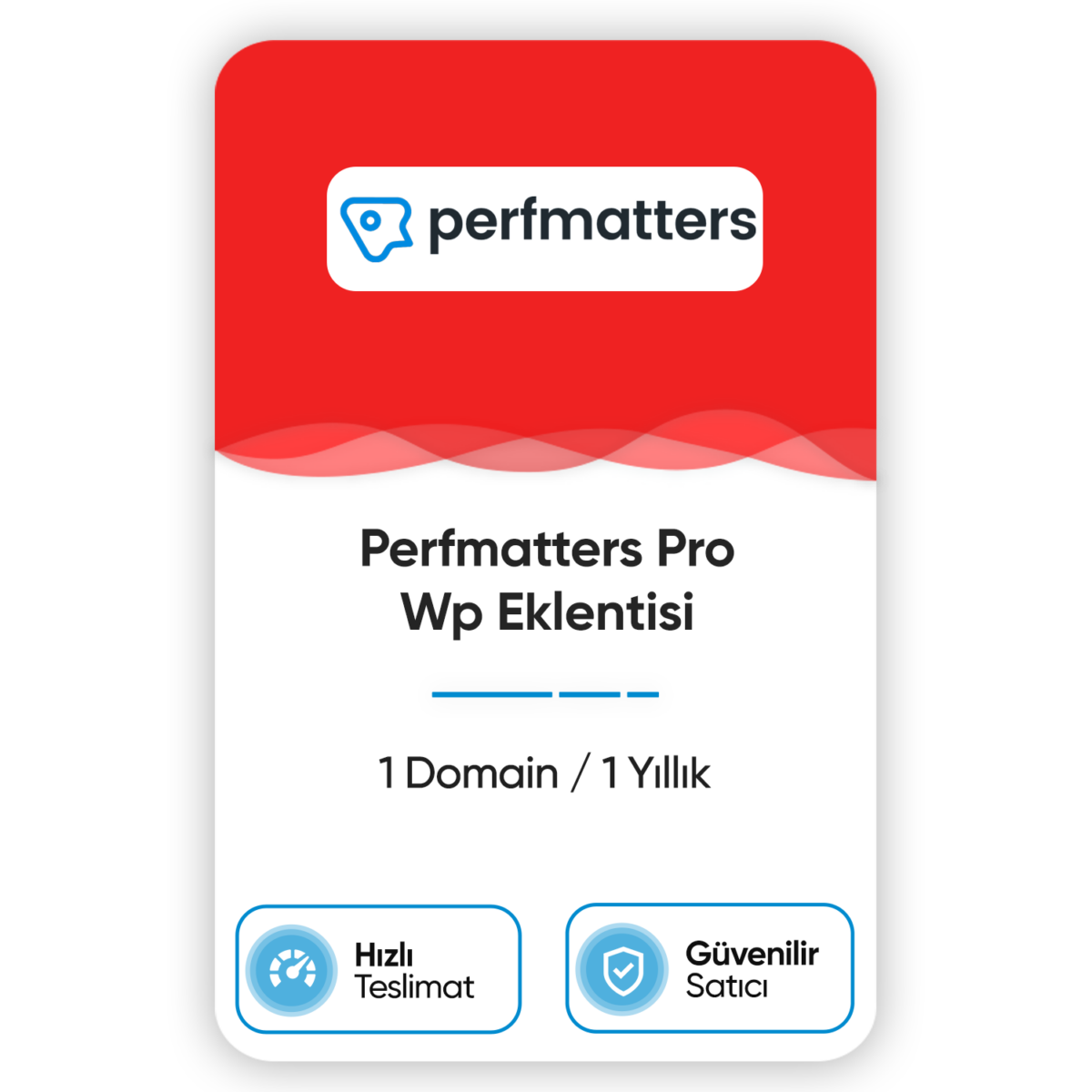 PerfMetters Pro Wp Eklentisi - Görsel 1
