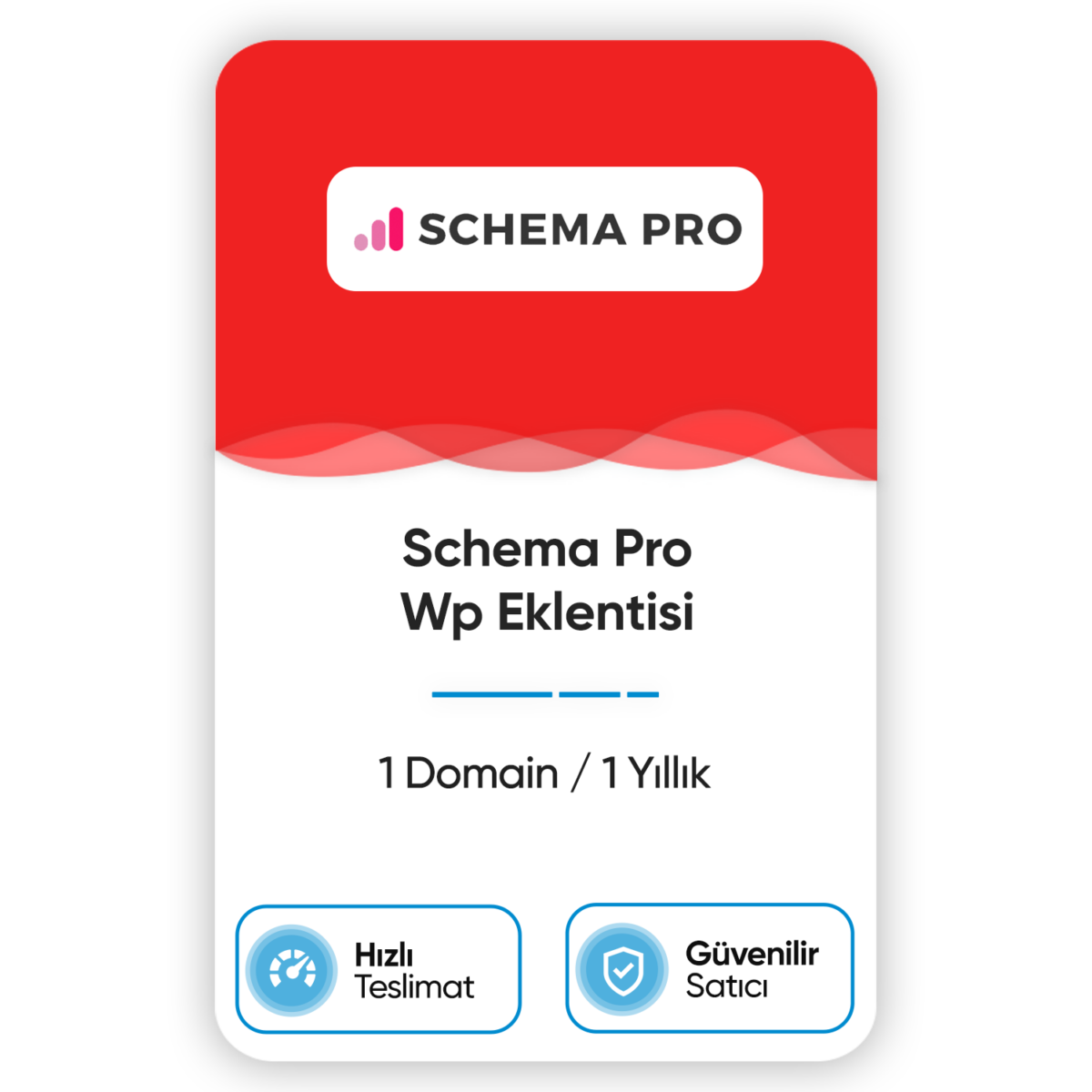 Schema Pro Wp Eklentisi - Görsel 1