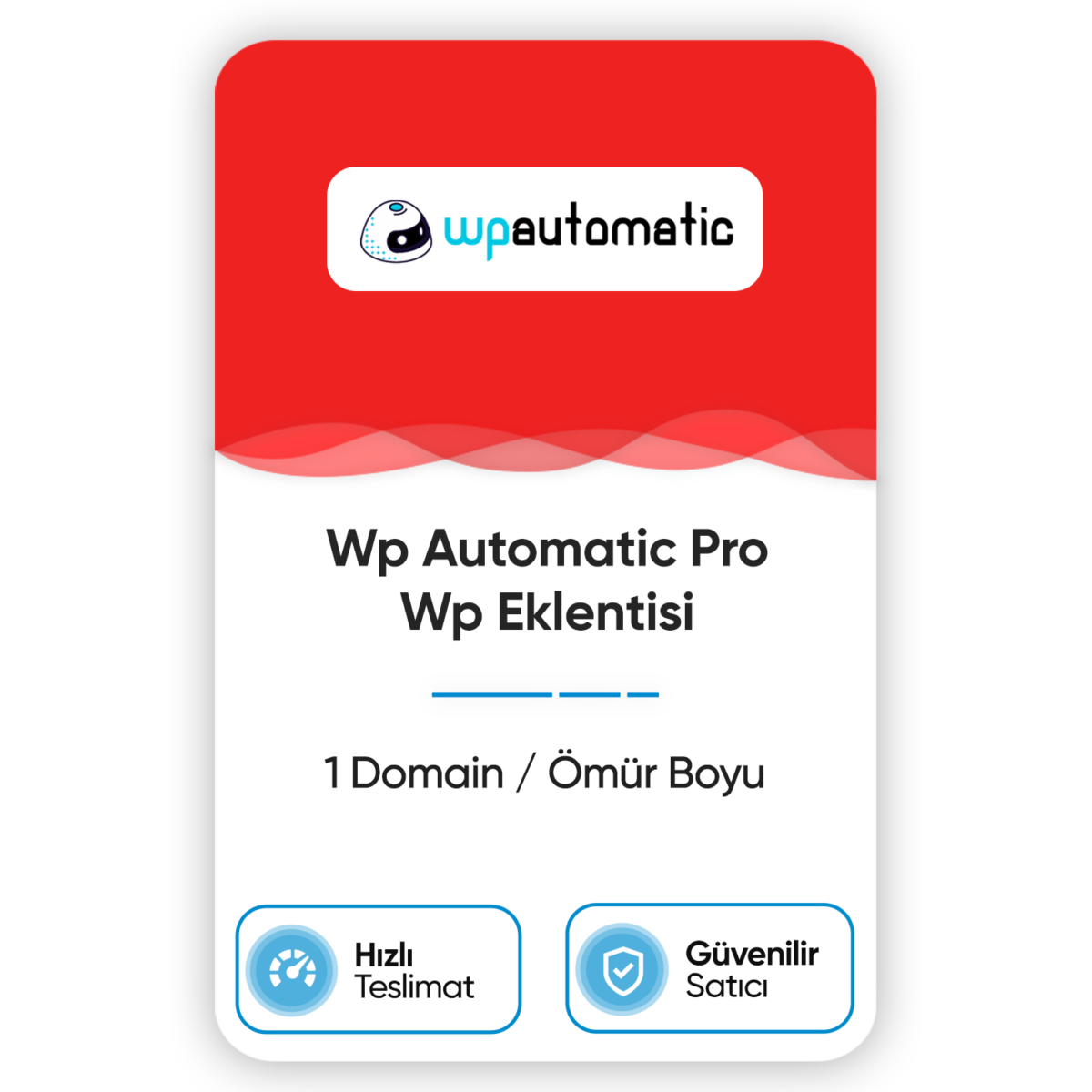WP Automatic Pro Eklentisi - Görsel 1